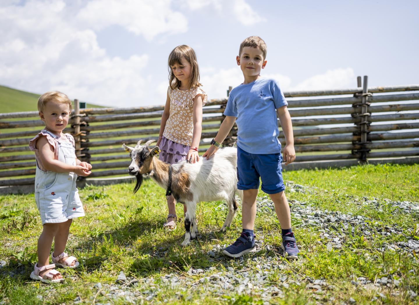 Heidi-Hotel Falkertsee 223-4223-print_HeidiHotel_Falkert_2023_by_Gert_Perauer