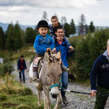 Heidi-Hotel Falkertsee Heidi Hotel Falkertsee 2018 (c) Carolin Thiersch-117