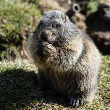 Heidi Hotel Falkertsee 2018 (c) Carolin Thiersch-56