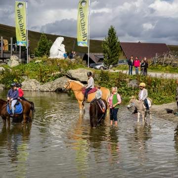 Heidi-Hotel Falkertsee Heidi Hotel Falkertsee 2018 (c) Carolin Thiersch-141