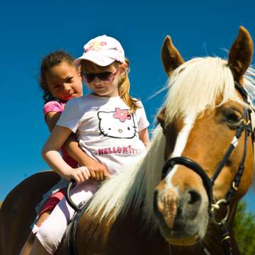 Heidi-Hotel Falkertsee HEHO_210809_103