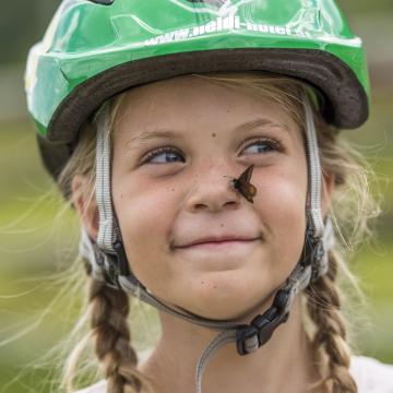 080-17 &copy;FRANZGERDL BPNB REICHENAU-FALKERT _4940