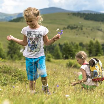 034-17 &copy;FRANZGERDL BPNB REICHENAU-FALKERT _4430