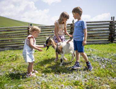 224-4229-print_HeidiHotel_Falkert_2023_by_Gert_Perauer