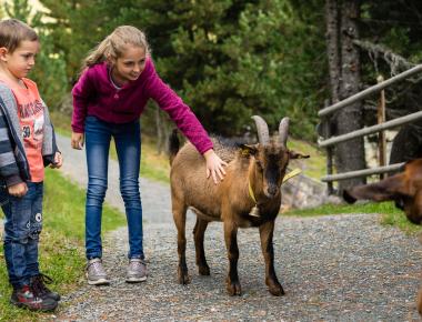 Heidi Hotel Falkertsee 2018 (c) Carolin Thiersch-75