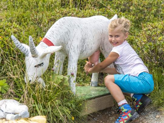 Heidi-Hotel Falkertsee 067-17 ©FRANZGERDL BPNB REICHENAU-FALKERT _4795
