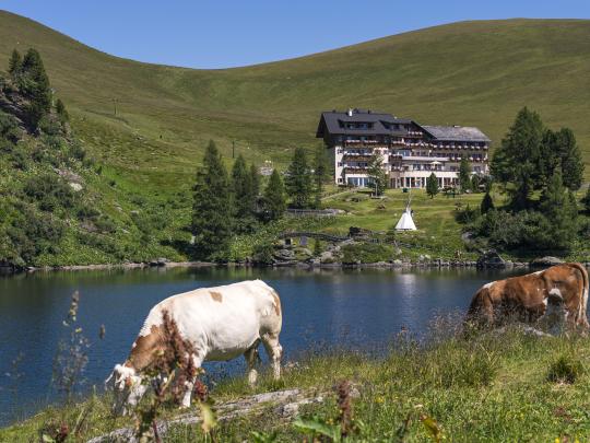 Heidi-Hotel Falkertsee Heidi Hotel 2019-07-23_0265