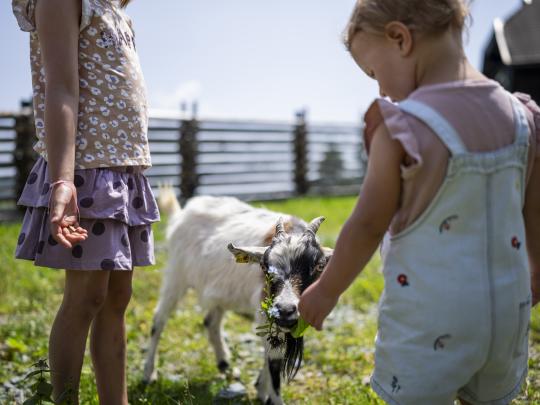 Heidi-Hotel Falkertsee 225-4230-print_HeidiHotel_Falkert_2023_by_Gert_Perauer