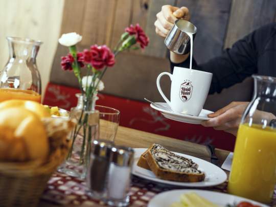 Heidi-Hotel Falkertsee Heidi Hotel 2017-03-15_0186-best