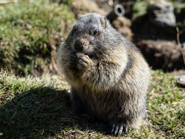 Heidi Hotel Falkertsee 2018 (c) Carolin Thiersch-56 Heidi Hotel Falkertsee 2018 (c) Carolin Thiersch-56