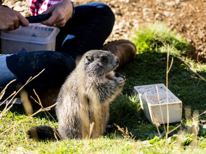 Heidi Hotel Falkertsee 2018 (c) Carolin Thiersch-31 Heidi Hotel Falkertsee 2018 (c) Carolin Thiersch-31