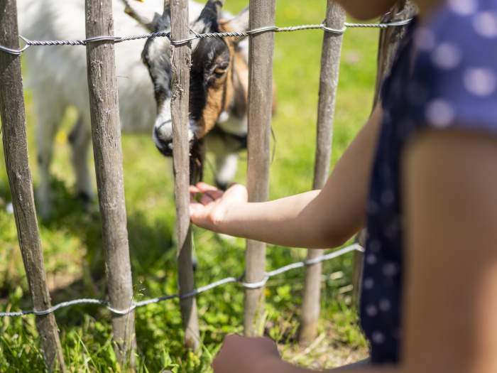Heidi-Hotel Falkertsee 214-4172-print_HeidiHotel_Falkert_2023_by_Gert_Perauer