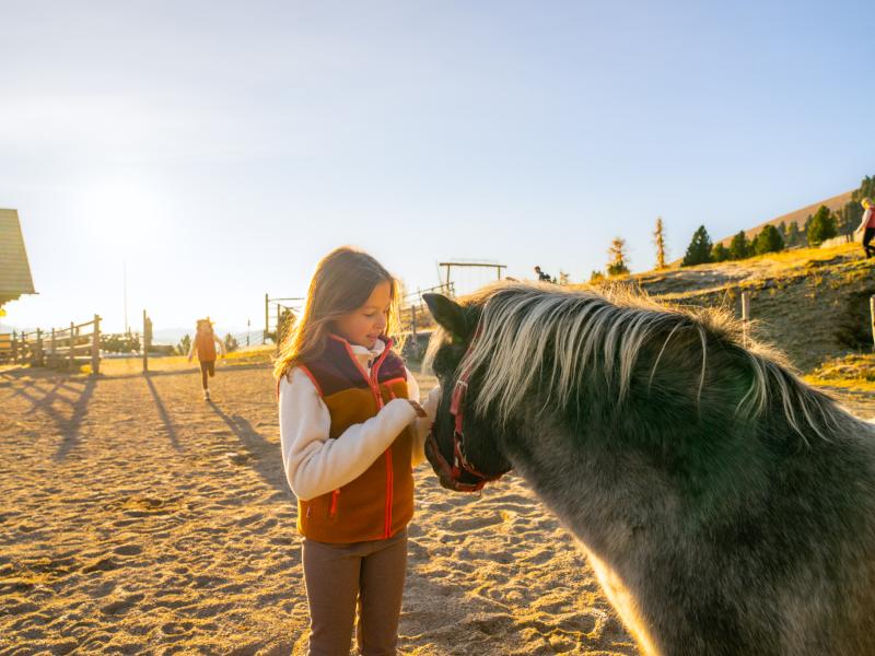 Wandern_Familienwandern rund um den Falkertsee_Heidi Alm Falkert_Familie_Nockberge_Herbst &copy;Gert Perauer_MBN Tourismus (12)
